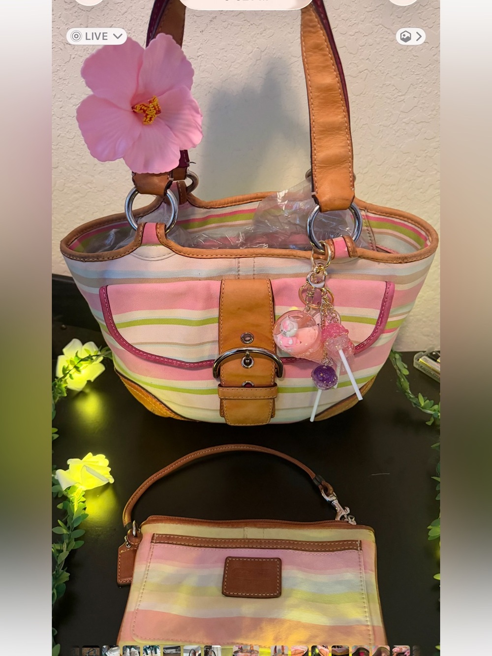 Coach Striped Hobo Tote Bag with matching wristlet comes with charms